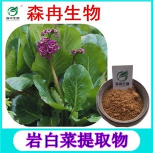森冉生物 巖白菜提取物 巖白菜素 石白菜提取物 植物提取原料粉