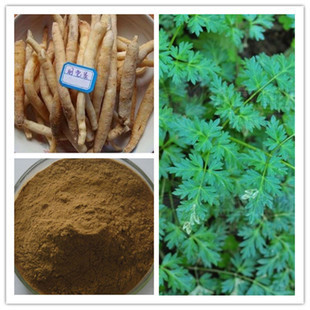 植物提取物-阿里誠(chéng)信廠家 明黨參提取物 10:1-植物提取物盡在阿里巴巴-陜西斯.