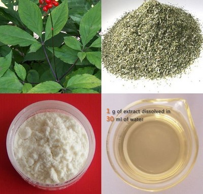 植物提取物-【高品質(zhì)】廠家供應(yīng):人參皂甙80%-植物提取物盡在阿里巴巴-陜西慈緣.