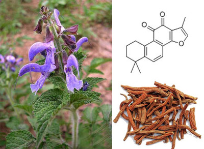 丹參提取物|丹參酮|Ⅱa|ⅱa 是什么?功效作用大揭秘