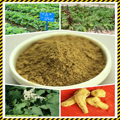 大黃提取物 0.3%大黃*