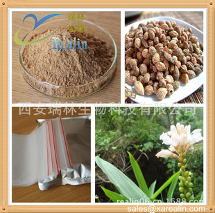 植物提取物-廠家現貨供應益智仁提取物,濕脾止瀉優質原料-植物提取物盡在阿里巴巴-.